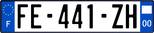 FE-441-ZH