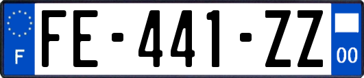 FE-441-ZZ