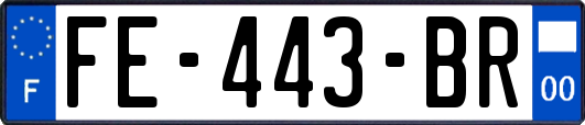 FE-443-BR