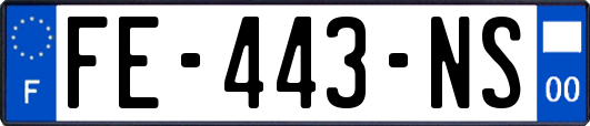 FE-443-NS