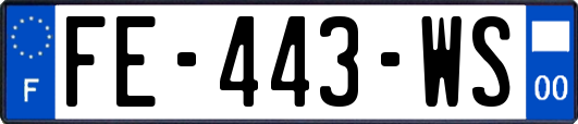 FE-443-WS