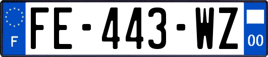 FE-443-WZ