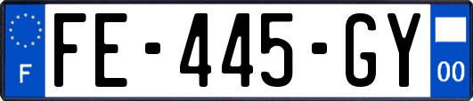 FE-445-GY