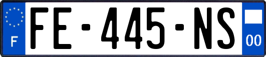 FE-445-NS