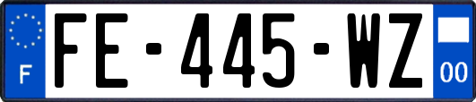 FE-445-WZ