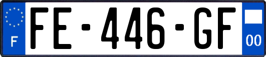 FE-446-GF