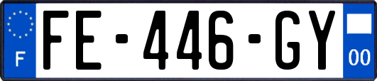 FE-446-GY