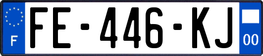 FE-446-KJ