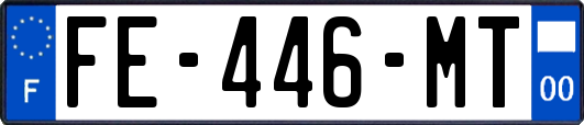 FE-446-MT