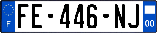 FE-446-NJ