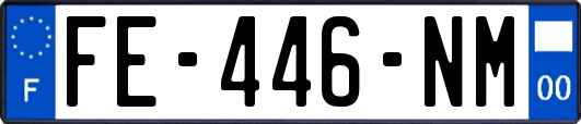 FE-446-NM