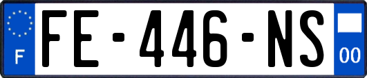 FE-446-NS