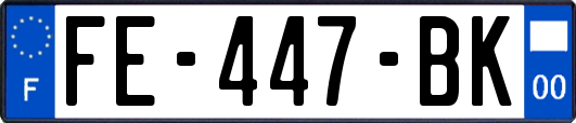 FE-447-BK