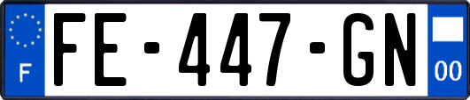 FE-447-GN
