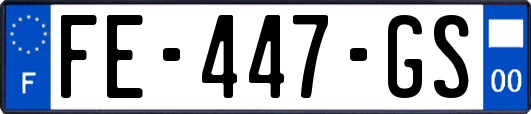FE-447-GS