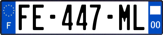 FE-447-ML
