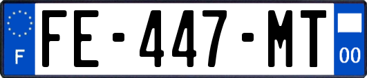 FE-447-MT