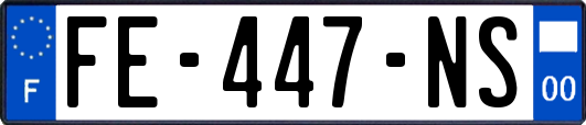 FE-447-NS