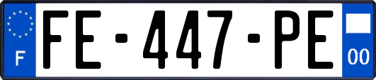 FE-447-PE