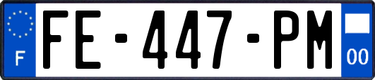 FE-447-PM