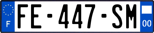 FE-447-SM