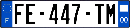 FE-447-TM