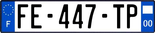 FE-447-TP