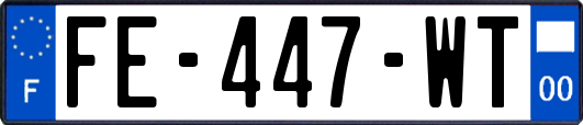 FE-447-WT
