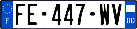 FE-447-WV