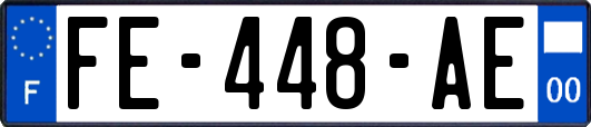 FE-448-AE