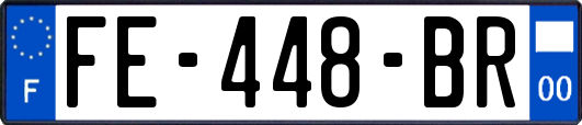 FE-448-BR