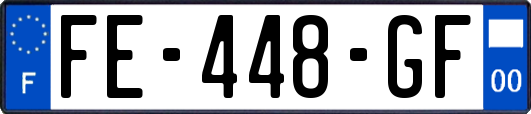 FE-448-GF
