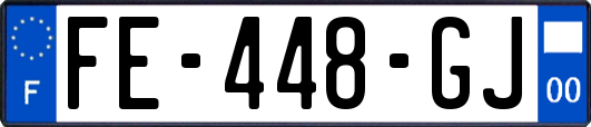 FE-448-GJ