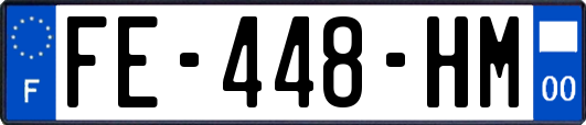 FE-448-HM