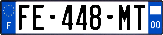 FE-448-MT