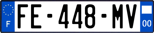 FE-448-MV