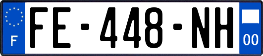FE-448-NH