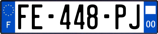 FE-448-PJ