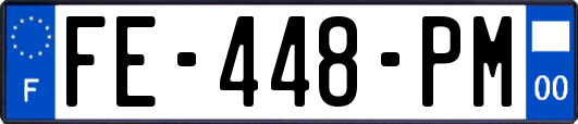 FE-448-PM