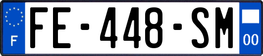 FE-448-SM