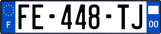 FE-448-TJ