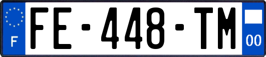FE-448-TM