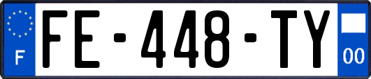 FE-448-TY
