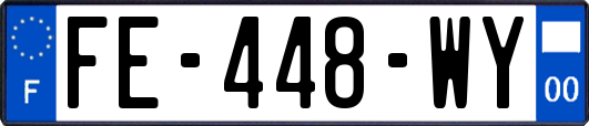 FE-448-WY