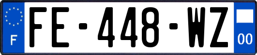 FE-448-WZ