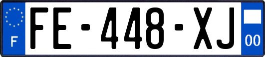 FE-448-XJ
