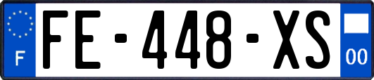 FE-448-XS