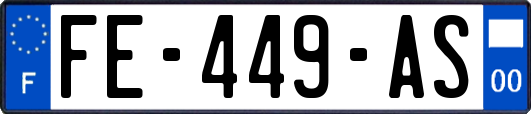 FE-449-AS