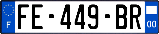 FE-449-BR