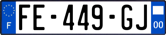 FE-449-GJ